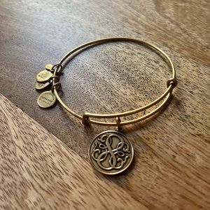 Alex and Ani charm bracelet